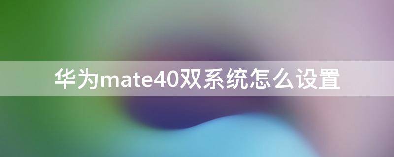 华为mate40双系统怎么设置（华为mate40怎样设置双系统）