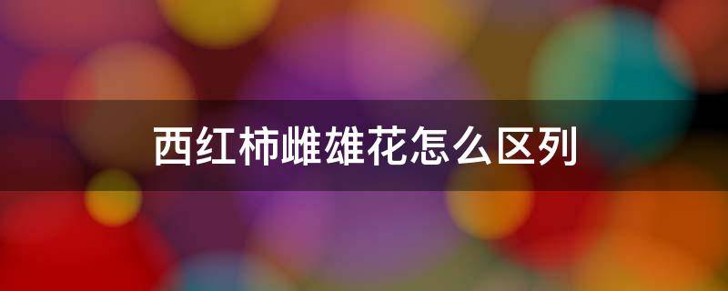 西红柿雌雄花怎么区列 西红柿雌雄花的分辨