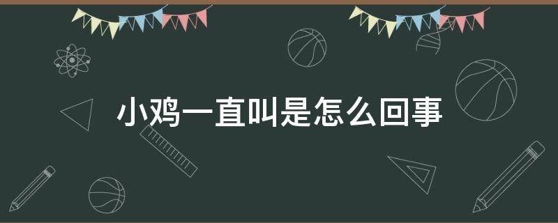 小鸡一直叫是怎么回事（刚到家的小鸡一直叫是怎么回事）