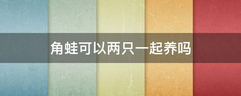 角蛙可以两只一起养吗 角蛙单独养好还是两只养好