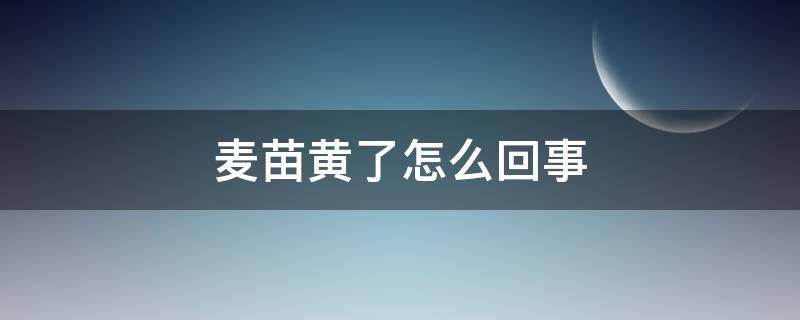 麦苗黄了怎么回事 麦苗发黄是什么病