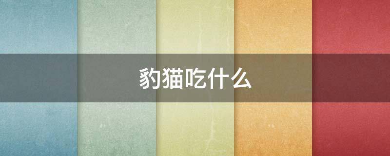 豹猫吃什么 豹猫吃什么食物