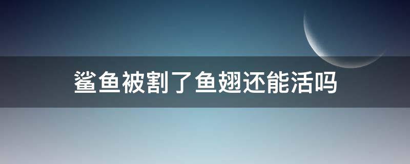 鲨鱼被割了鱼翅还能活吗（鲨鱼被割鱼翅罕见存活）