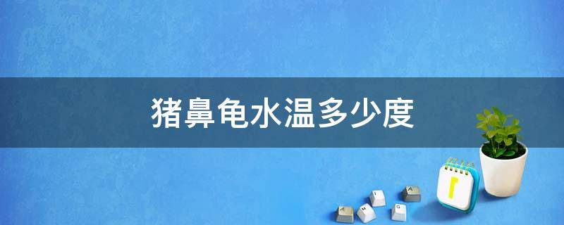 猪鼻龟水温多少度 猪鼻龟水温多少度会死