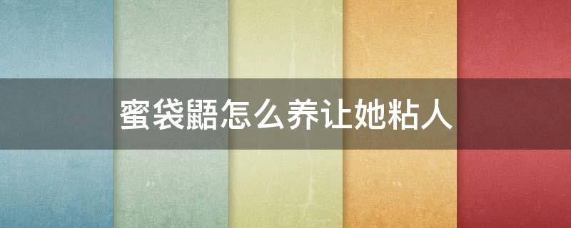 蜜袋鼯怎么养让她粘人（蜜袋鼯不粘人怎么办）