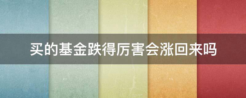 买的基金跌得厉害会涨回来吗（基金跌了一定会涨吗）