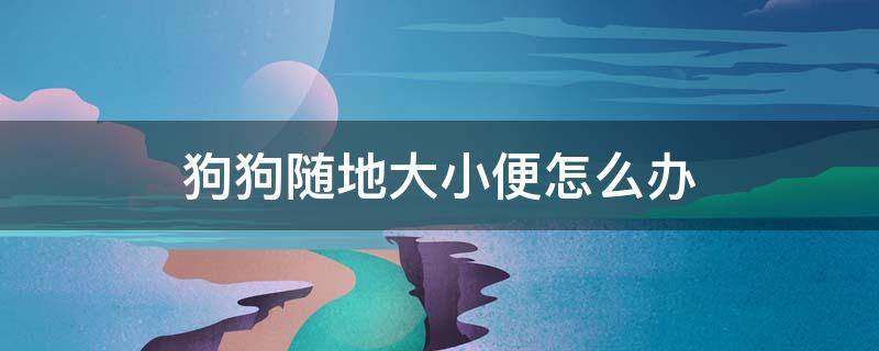 狗狗随地大小便怎么办 三个月狗狗随地大小便怎么办