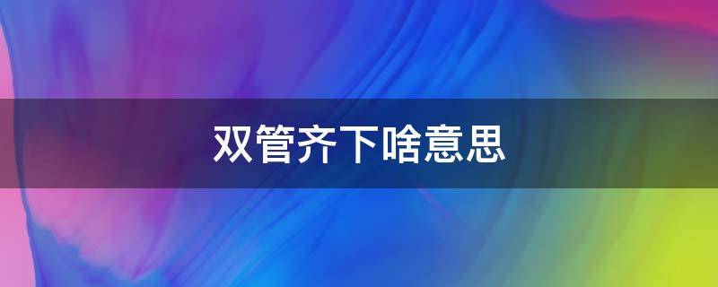 双管齐下啥意思（双管齐下啥意思 数字是几）