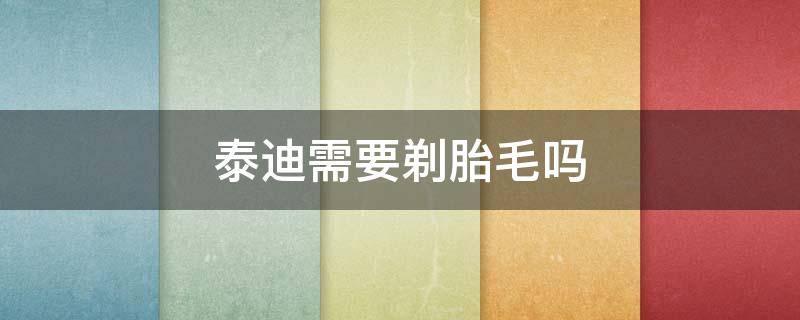 泰迪需要剃胎毛吗（灰色泰迪需要剃胎毛吗）