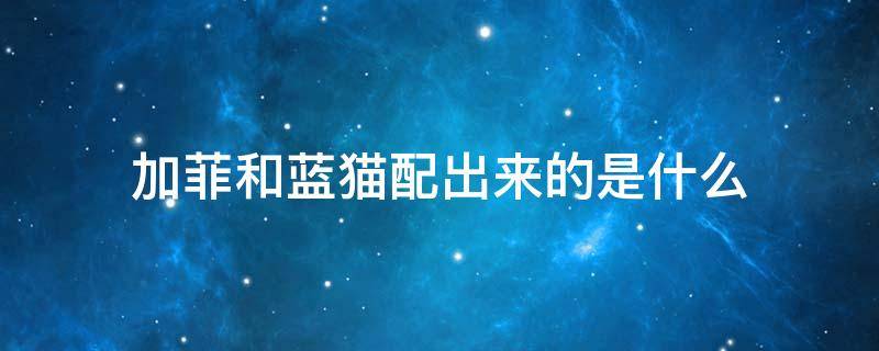 加菲和蓝猫配出来的是什么（加菲和蓝猫能配吗）