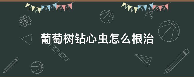 葡萄树钻心虫怎么根治 葡萄树长钻心虫要用什么药