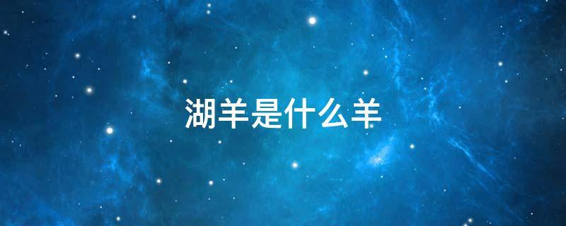 湖羊是什么羊 湖羊是什么羊和什么羊杂交的