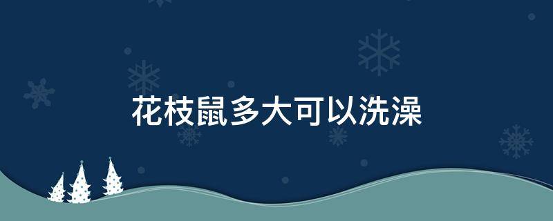 花枝鼠多大可以洗澡 花枝鼠多大才能洗澡