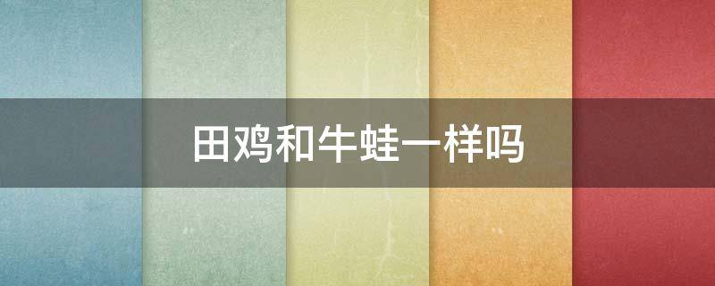 田鸡和牛蛙一样吗（田鸡和牛蛙的一样吗）