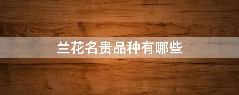 兰花名贵品种有哪些（兰花最有名的有几个品种）