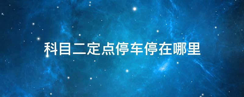 科目二定点停车停在哪里（科目二定点停车怎么看）
