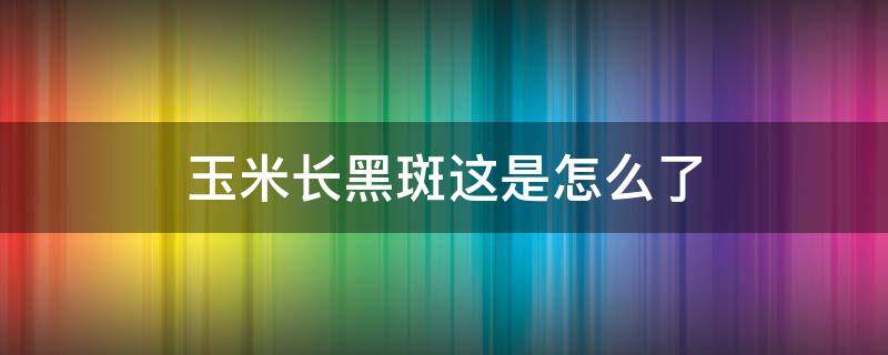 玉米长黑斑这是怎么了（玉米茎上有黑斑是什么病）