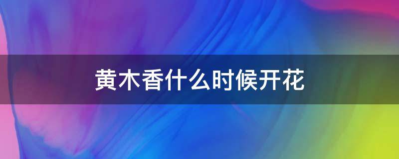 黄木香什么时候开花（黄木香啥时候开花）