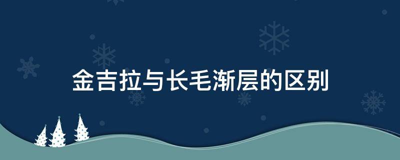 金吉拉与长毛渐层的区别 金吉拉和长毛渐层有啥区别