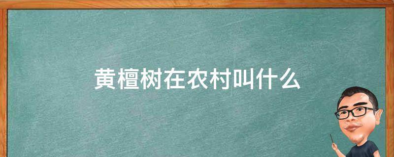 黄檀树在农村叫什么 农村黄檀树是国家保护植物吗