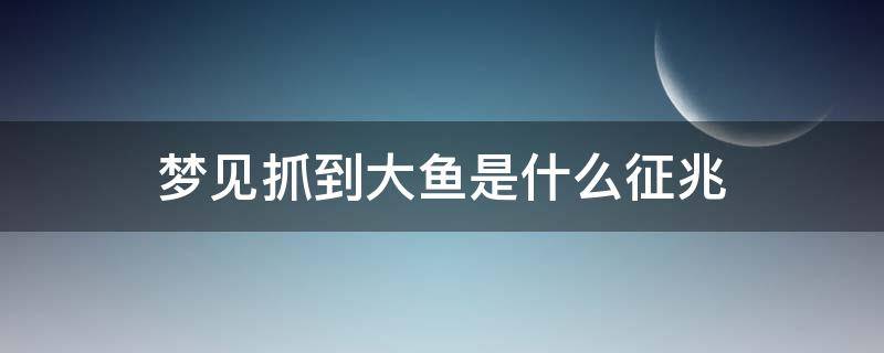 梦见抓到大鱼是什么征兆 梦见抓到大鱼是什么征兆周公解梦