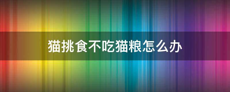 猫挑食不吃猫粮怎么办（猫严重挑食不吃猫粮怎么办）