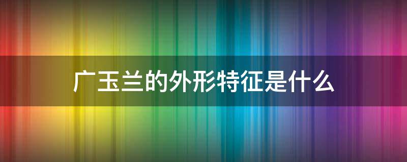 广玉兰的外形特征是什么（广玉兰的特点有哪些）