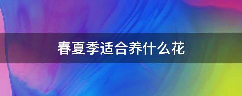 春夏季适合养什么花（春夏季室内适合养什么花）