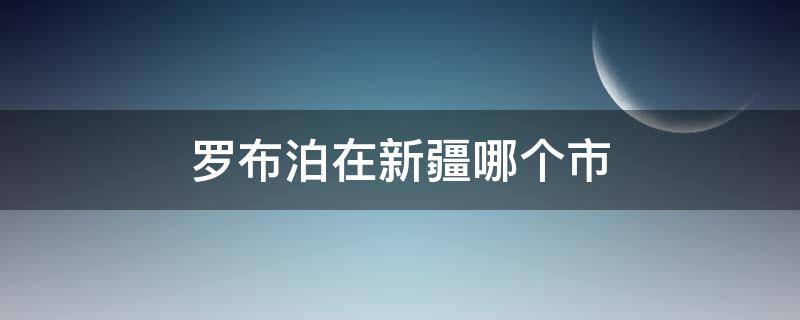 罗布泊在新疆哪个市（罗布泊在新疆哪个城市）