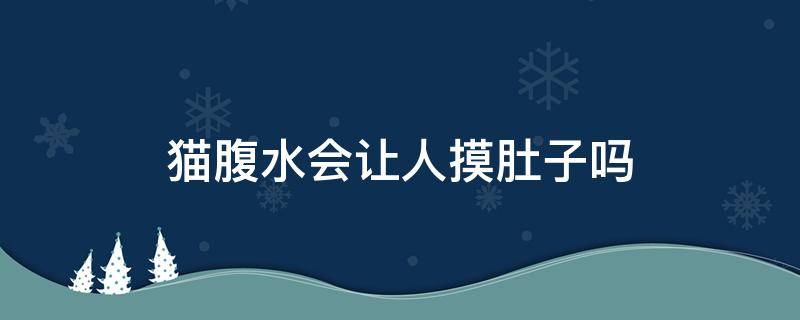 猫腹水会让人摸肚子吗（猫腹水能摸出来吗）