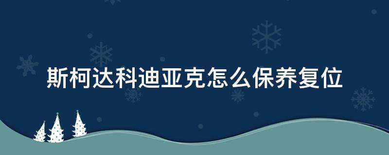 斯柯达科迪亚克怎么保养复位（斯柯达柯迪亚克保养灯怎么复位）