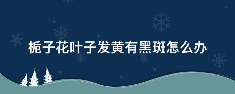 栀子花叶子发黄有黑斑怎么办 栀子花叶子发黄长斑怎么办