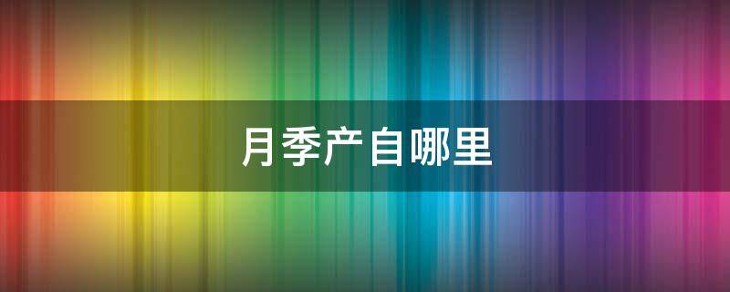 月季产自哪里 月季的产地