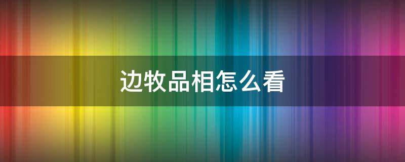 边牧品相怎么看（边牧标准品相图片）