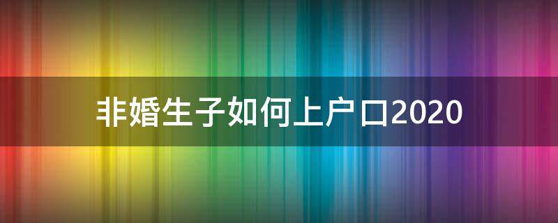非婚生子如何上户口2020（非婚生子如何上户口2020罚款多少）