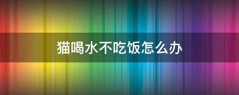 猫喝水不吃饭怎么办 猫只喝水不吃饭怎么回事