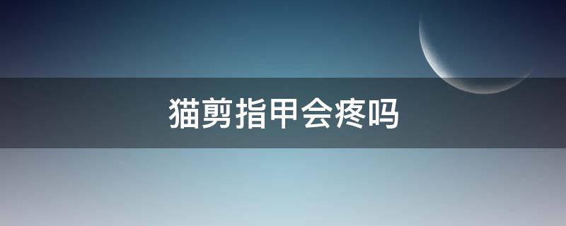 猫剪指甲会疼吗 猫剪指甲会痛吗