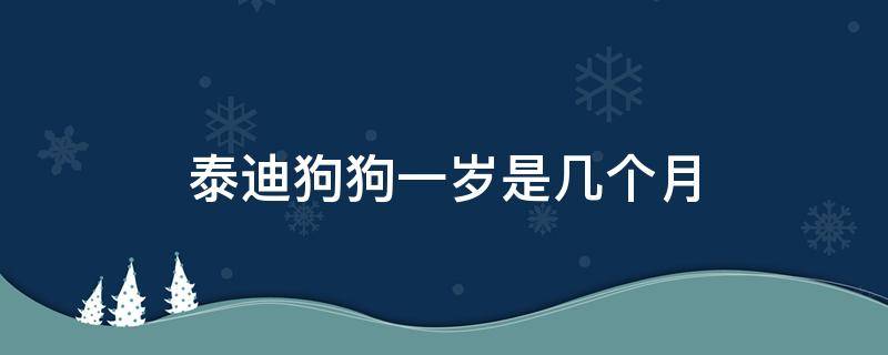 泰迪狗狗一岁是几个月 泰迪狗几个月满一岁