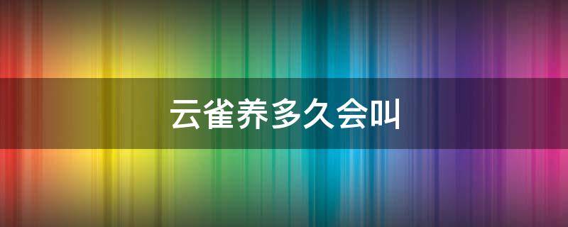 云雀养多久会叫（云雀养几只叫的好）