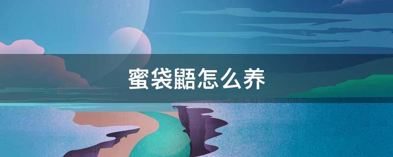 蜜袋鼯怎么养 澳大利亚飞鼠蜜袋鼯怎么养