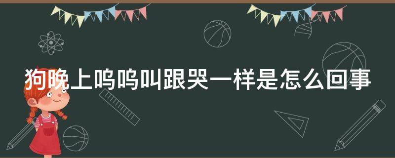 狗晚上呜呜叫跟哭一样是怎么回事（狗发出嗷呜长叫拖长尾音）