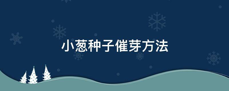 小葱种子催芽方法（小葱种子如何发芽）