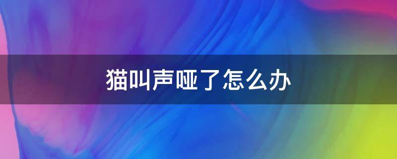 猫叫声哑了怎么办 猫叫的声音哑了是怎么一回事