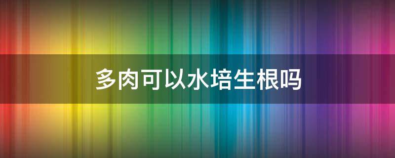 多肉可以水培生根吗 水培多肉生根后如何土培
