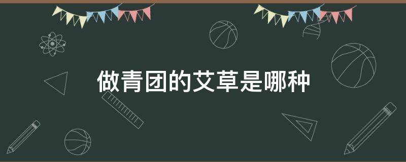 做青团的艾草是哪种 做青团的艾草是哪种视频