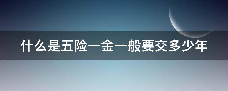 什么是五险一金一般要交多少年 什么是五险一金每月交多少钱钱