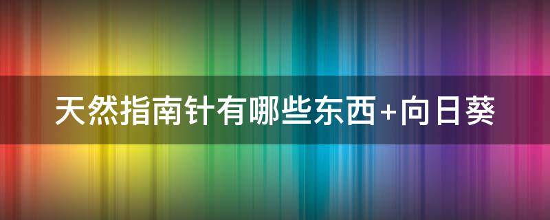 天然指南针有哪些东西（天然指南针有哪些东西指南针）