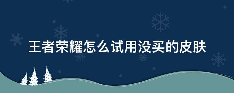 王者荣耀怎么试用没买的皮肤 王者荣耀不能试用皮肤了