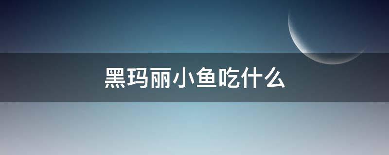黑玛丽小鱼吃什么（黑玛丽鱼喂什么）
