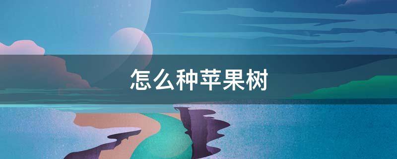怎么种苹果树（怎么种苹果树盆栽）